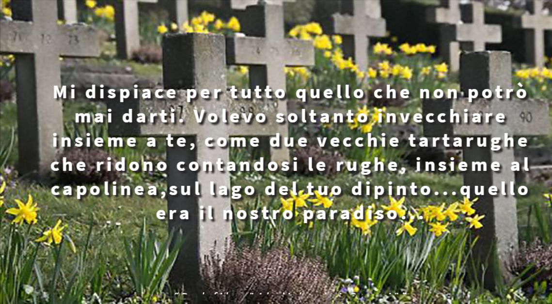 Mi dispiace per tutto quello che non potrò mai darti. Volevo soltanto invecchiare insieme a te, come due vecchie tartarughe che ridono contandosi le rughe, insieme al capolinea,sul lago del tuo dipinto...quello era il nostro paradiso... - Dal film "Al di la dei Sogni"